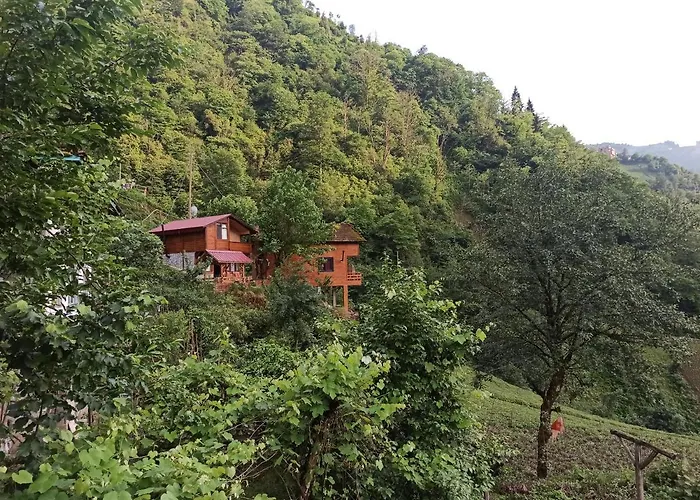 Avıtte Dağ Evlerı