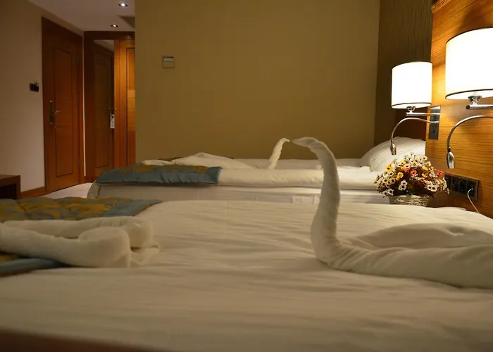 Mirel Hotel
