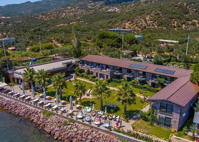 Assos Zeyti̇N Han Special Class Adults Only 12