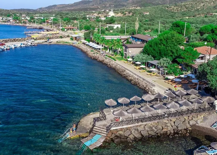 Assos Zeyti̇N Han Special Class Adults Only 12
