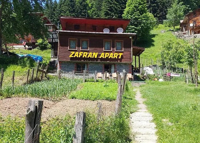 Villa Zafran Apart Ayder Yaylası, Türkiye