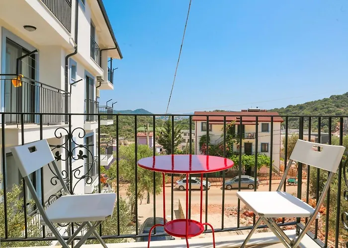Alina Otel Kaş, Türkiye