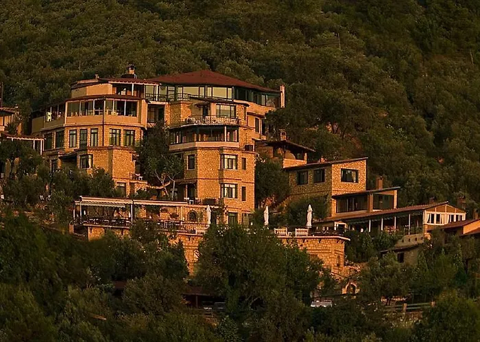 Pinecone Boutique Hotel