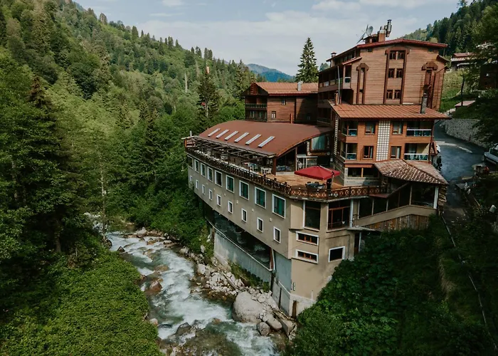 Ayder Hasimoglu