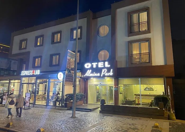 Hotel Almina Park