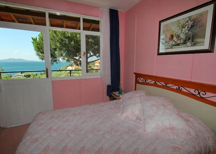 Marmara Zeytin