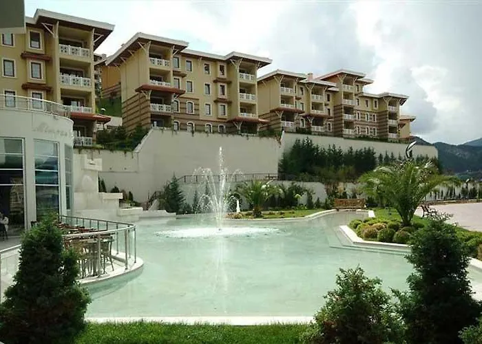 Swiss International