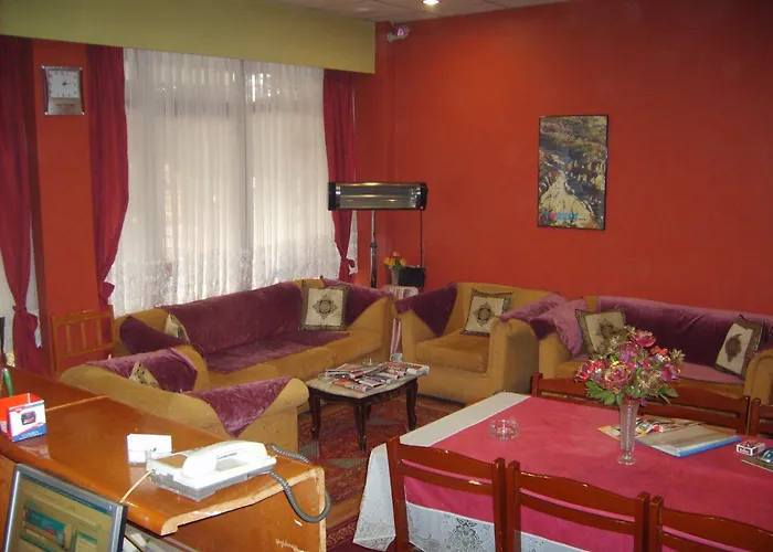 Hotel Necmi Samsun, Türkiye