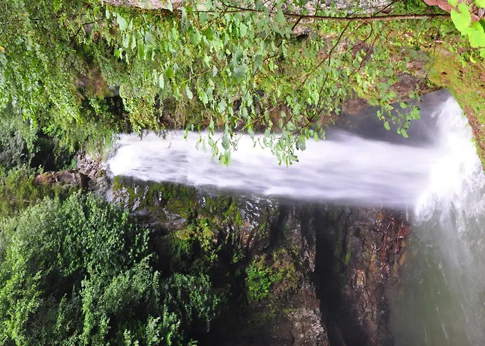 Ayder Hasimoglu Hotel, تركيا