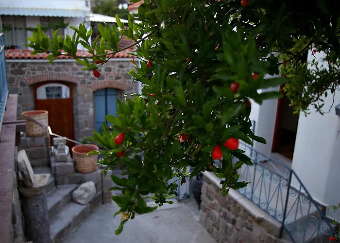 Hera Hotel Bergama, Türkiye