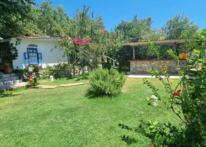 Lemon Garden Boutique