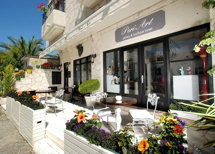 Peri Art Hotel