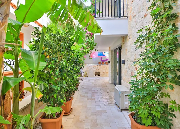 Sole Vista Homes