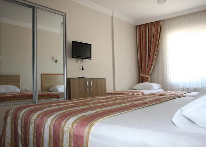 Hotel Ejder