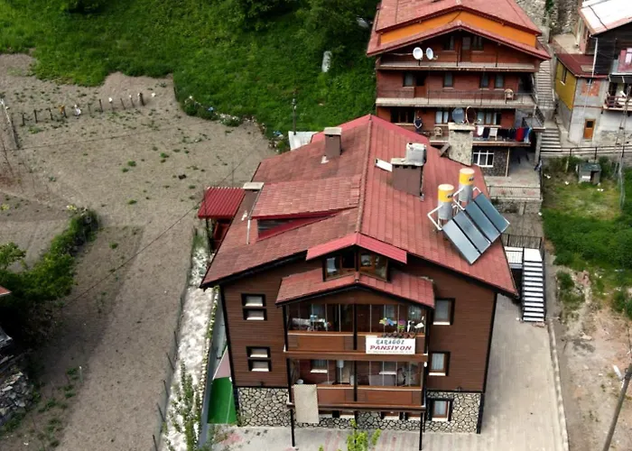 Karagöz Süit