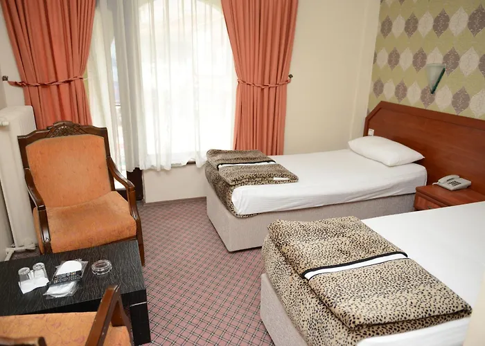 Hotel Soydan