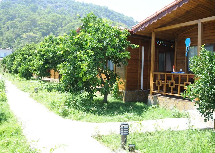 Merhaba