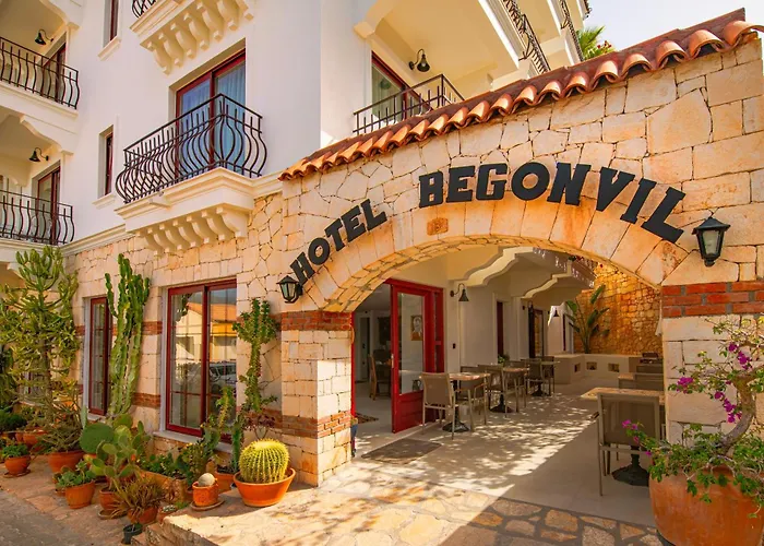 Begonvil