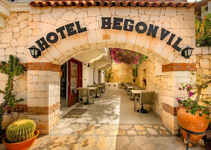 Begonvil