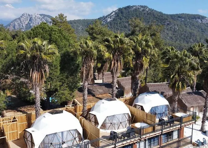 Hill Glamping