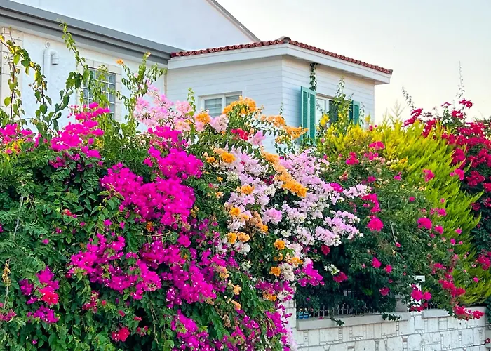 Alacati Xl Luxury