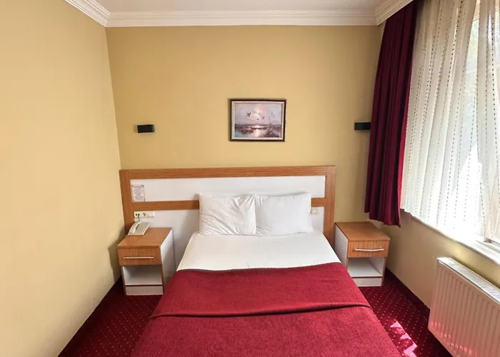 Mina 1 Hotel Ankara, Türkiye