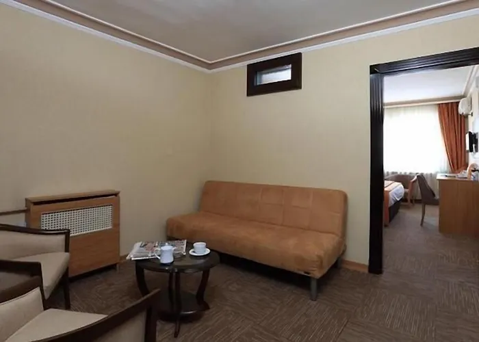 Baskent Hotel Ankara, Türkiye