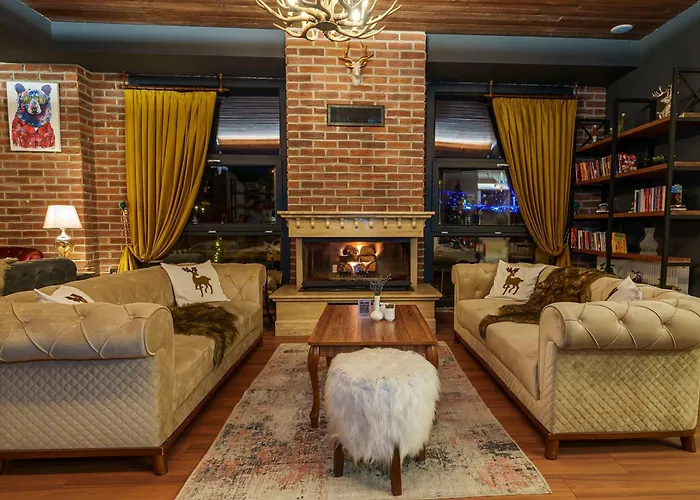 Library Hotel Erciyes