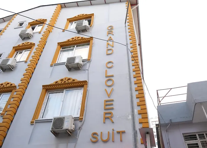 Grand Clover Suit