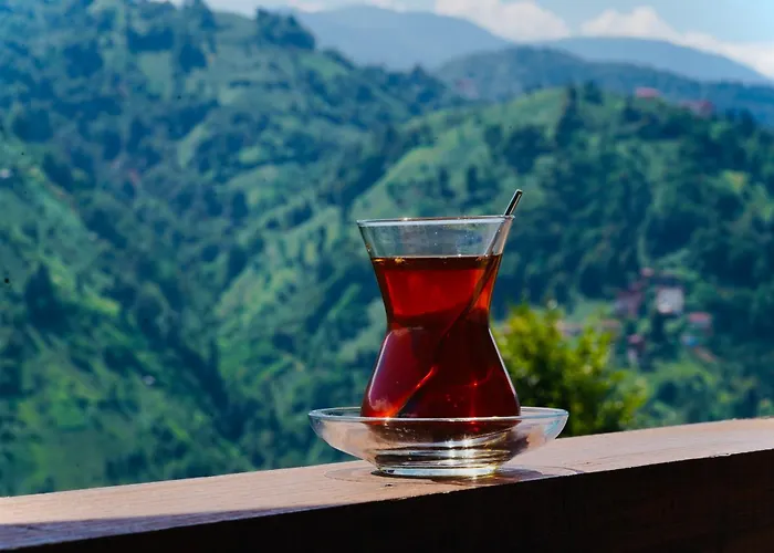 Pathika Bungalov Çamlıhemşin, Türkiye