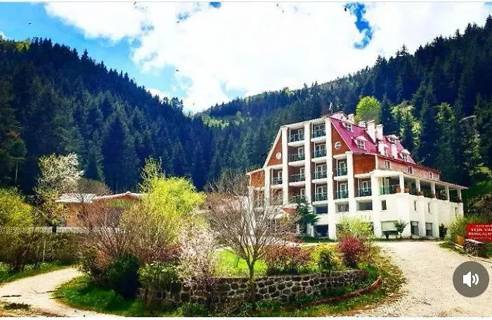 Hotel Green Valley Savsat