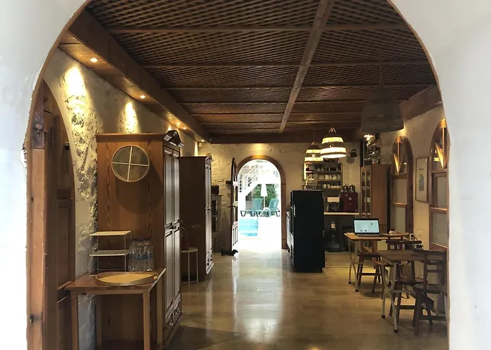 Swiss Eviniz Hotel - Adult Hotel