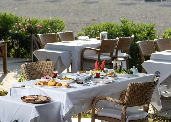 Etenna Beach Bungalows Çıralı, Türkiye