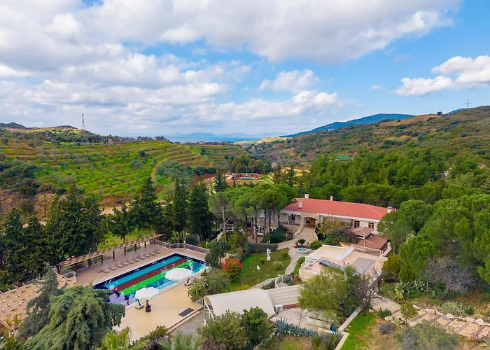 Kairos Valley Wellness & Longevity