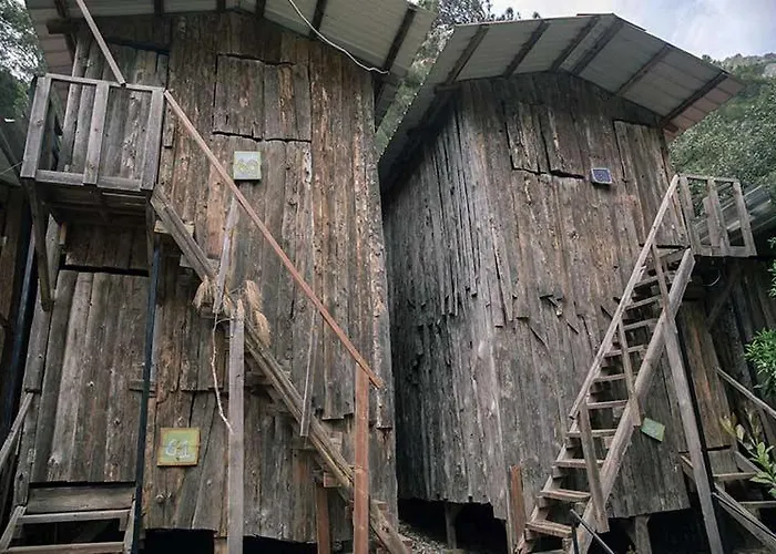 Bayrams Tree Houses