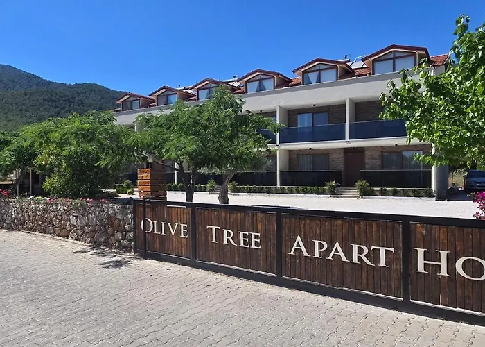 Olive Tree Apart