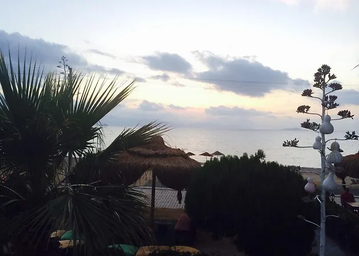Sun And Sea Beach Hotel