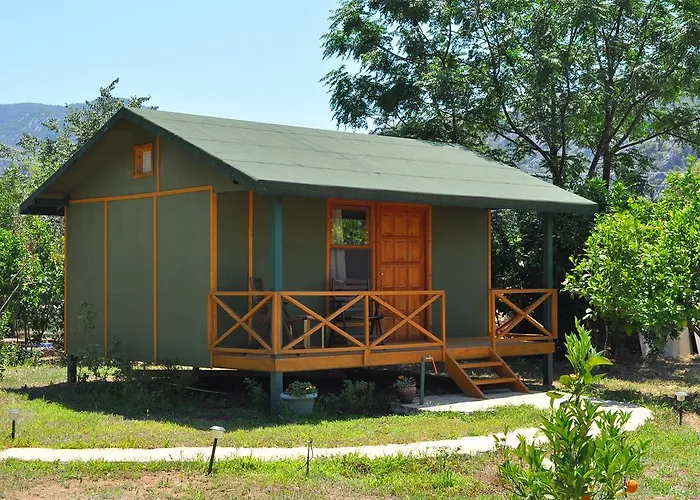 Hobbit Evi