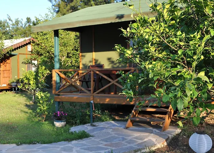 Hobbit Evi