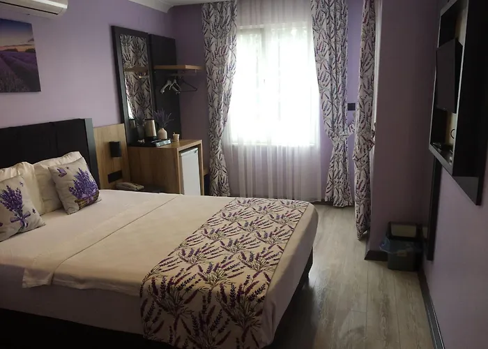 Roy Otel Akçay