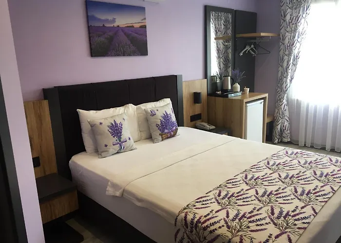 Roy Otel Akçay