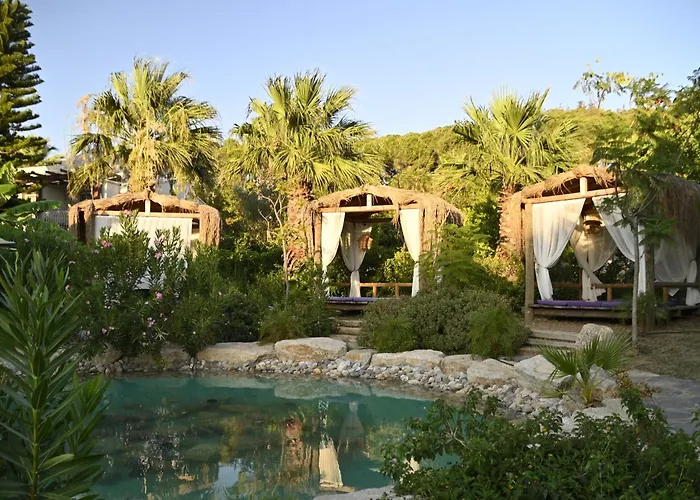 Kairos Valley Wellness & Longevity