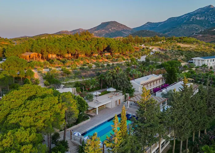 Kairos Valley Wellness & Longevity