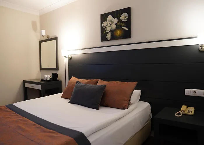 Dafne Hotel Ankara, Türkiye