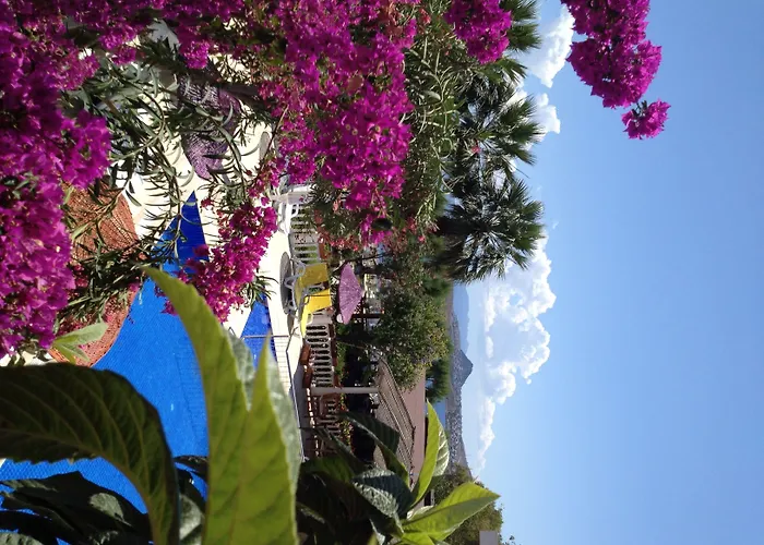 Yilmaz Hotel Ortakent, Türkiye