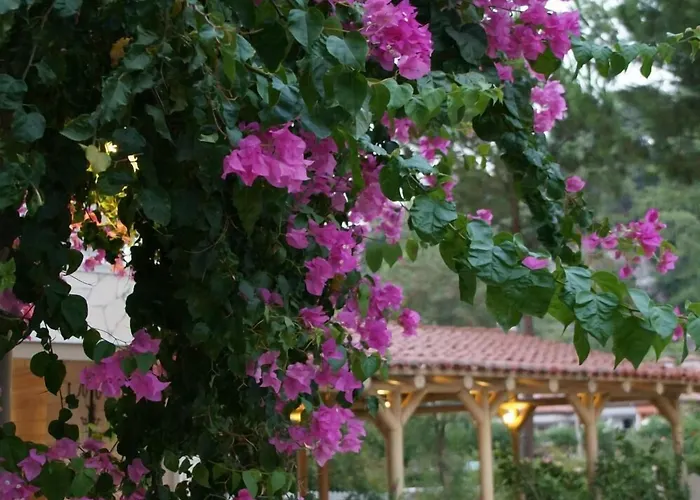 Petunya Konak Boutique Hotel Icmeler, Turkey