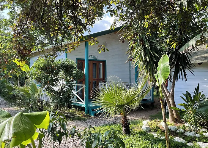 Bellerofon Beach Otel Çıralı, Türkiye