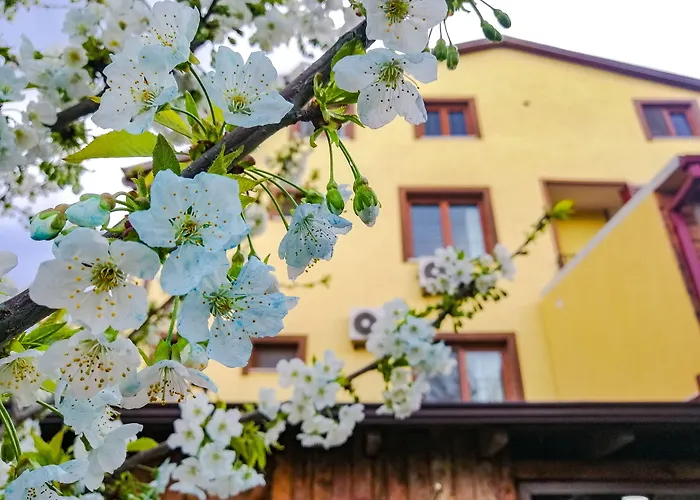 İznik Seyir Otel