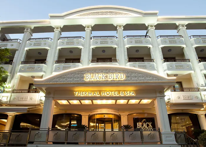 Black Bird Thermal & Spa