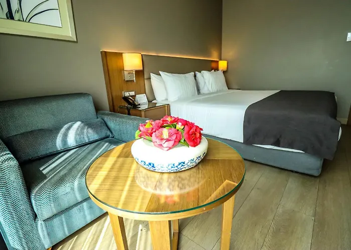 Holiday Inn Bursa - City Centre By Ihg, Türkiye